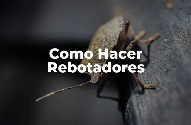 Como Hacer Rebotadores