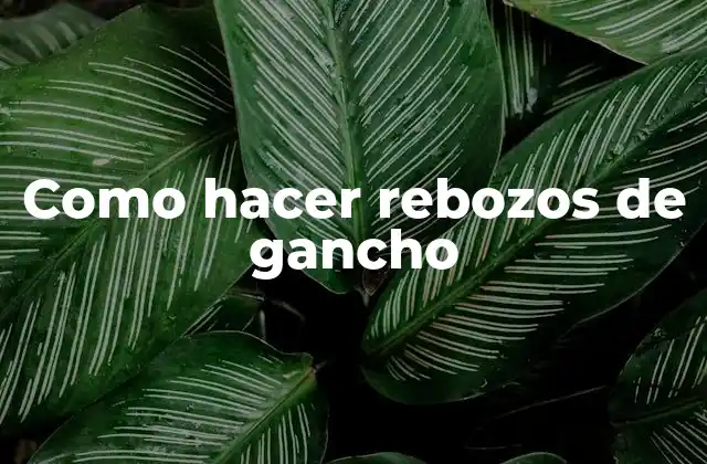 Como Hacer Rebozos de Gancho