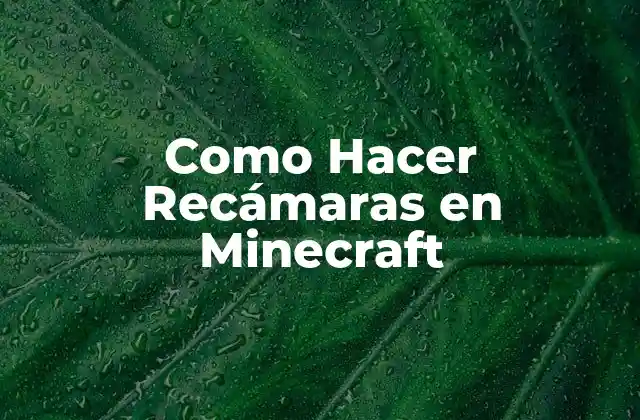 Como Hacer Recámaras en Minecraft 2 ¿Qué es una Recámara en Minecraft?
