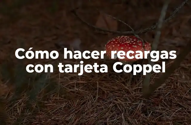 Cómo Hacer Recargas con Tarjeta Coppel