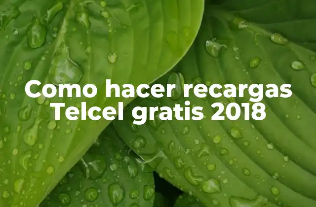Como Hacer Recargas Telcel Gratis 2018