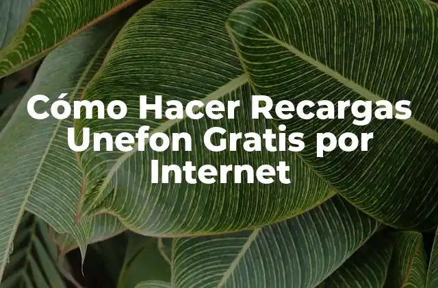 Cómo Hacer Recargas Unefon Gratis por Internet