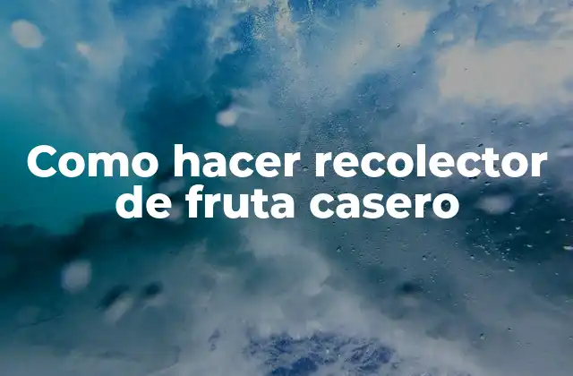 Como Hacer Recolector de Fruta Casero