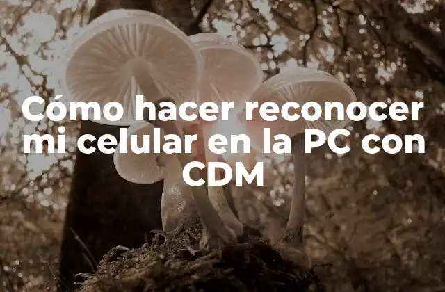 Cómo Hacer Reconocer Mi Celular en la Pc con Cdm 2 Cómo hacer reconocer mi celular en la PC con CDM - Conecta tu dispositivo móvil a tu computadora de manera efectiva
