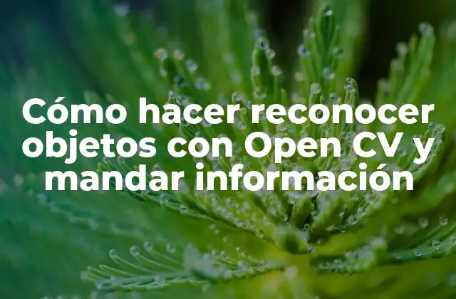 Cómo Hacer Reconocer Objetos con Open Cv y Mandar Información