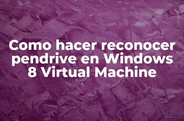 Como Hacer Reconocer Pendrive en Windows 8 Virtual Machine