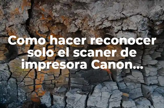 Como Hacer Reconocer Solo el Scaner de Impresora Canon Mg2410