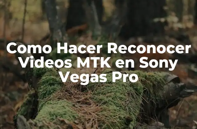 Como Hacer Reconocer Videos Mtk en Sony Vegas Pro