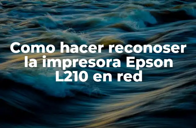 Como Hacer Reconoser la Impresora Epson L210 en Red