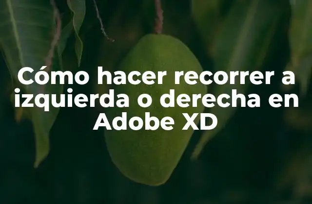 Cómo Hacer Recorrer a Izquierda o Derecha en Adobe Xd 2 Cómo hacer recorrer a izquierda o derecha en Adobe XD