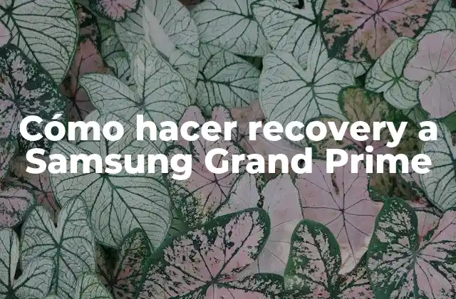 Cómo Hacer Recovery a Samsung Grand Prime