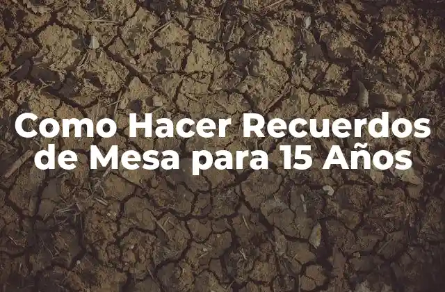 Como Hacer Recuerdos de Mesa para 15 Años