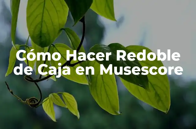 Cómo Hacer Redoble de Caja en Musescore