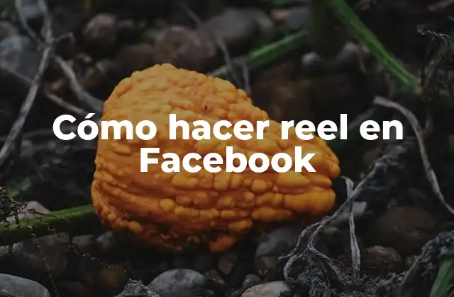 Cómo Hacer Reel en Facebook