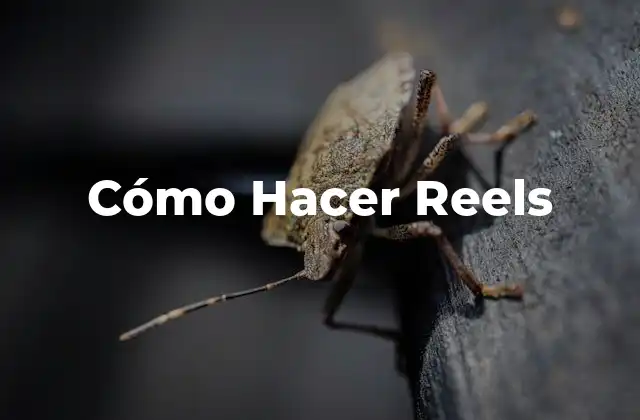 Cómo Hacer Reels