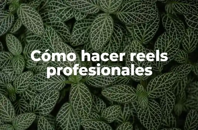 Cómo Hacer Reels Profesionales 2 Cómo hacer reels profesionales