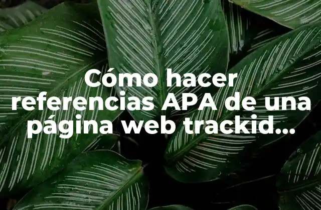 Cómo Hacer Referencias Apa de una Página Web Trackid Sp-006