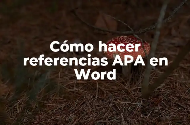 Cómo Hacer Referencias Apa en Word