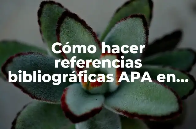 Cómo Hacer Referencias Bibliográficas Apa en Word