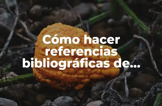 Cómo Hacer Referencias Bibliográficas de Páginas Web en Word