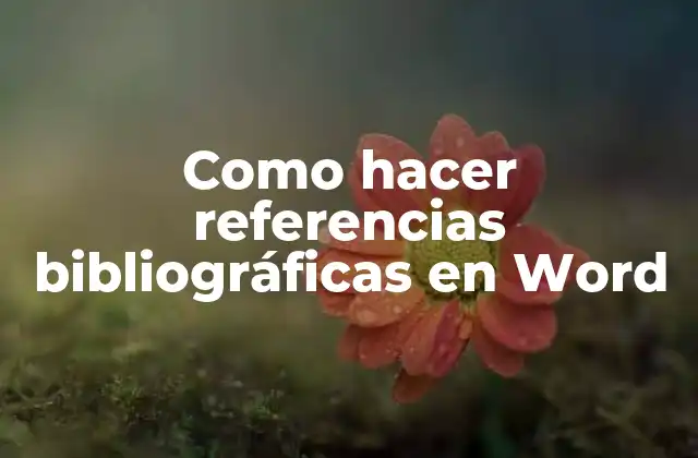 Como Hacer Referencias Bibliográficas en Word