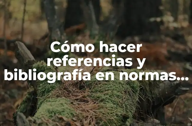 Cómo Hacer Referencias y Bibliografía en Normas Apa en Word