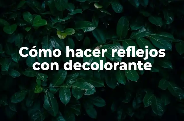 Cómo Hacer Reflejos con Decolorante 2 Cómo hacer reflejos con decolorante