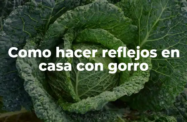 Como Hacer Reflejos en Casa con Gorro