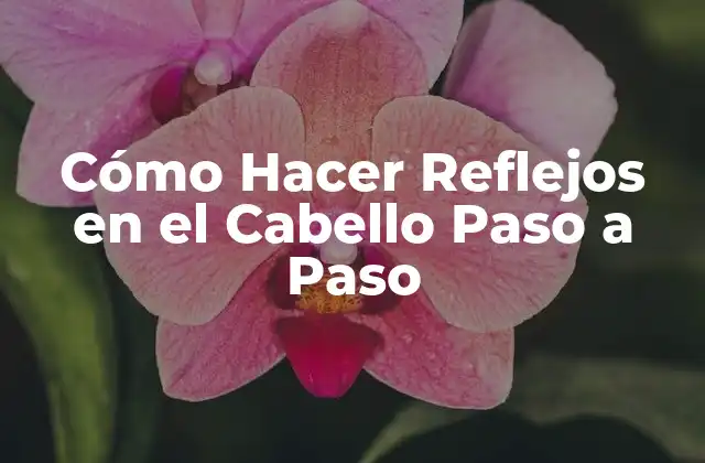 Cómo Hacer Reflejos en el Cabello Paso a Paso 2 Cómo Hacer Reflejos en el Cabello Paso a Paso
