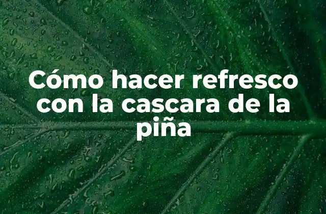 Cómo Hacer Refresco con la Cascara de la Piña