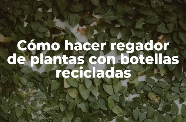 Cómo Hacer Regador de Plantas con Botellas Recicladas