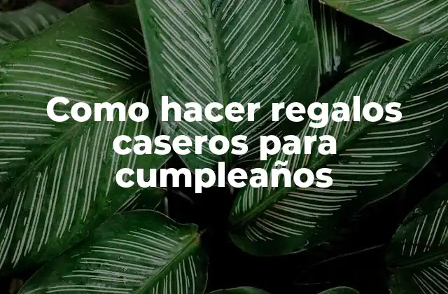 Como Hacer Regalos Caseros para Cumpleaños