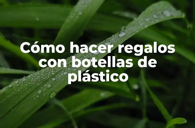 Cómo Hacer Regalos con Botellas de Plástico