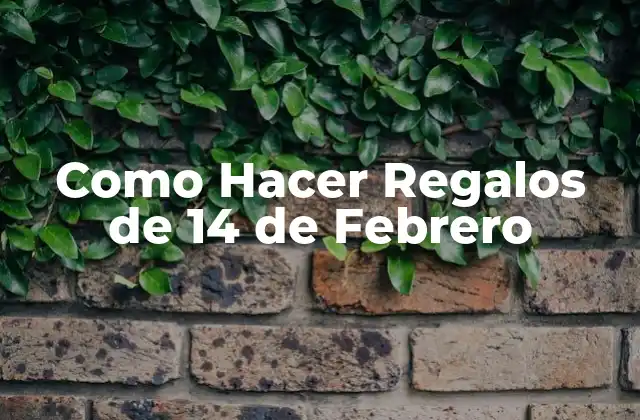 Como Hacer Regalos de 14 de Febrero