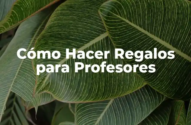Cómo Hacer Regalos para Profesores