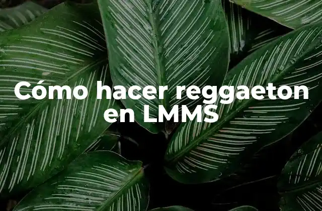 Cómo hacer reggaeton en LMMS