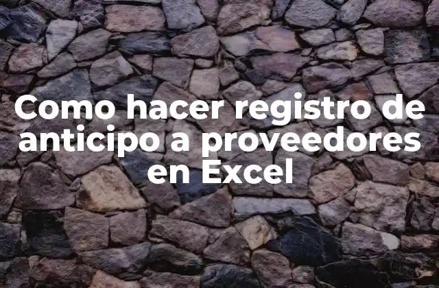 Como Hacer Registro de Anticipo a Proveedores en Excel