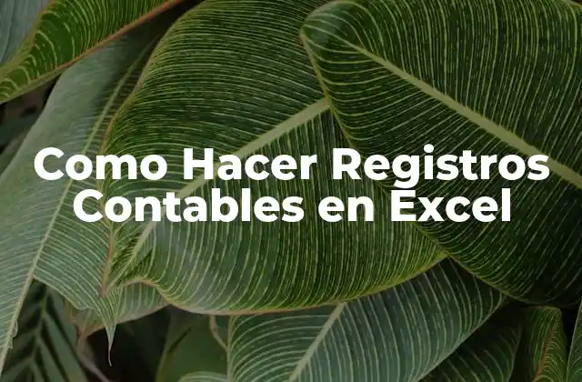 Como Hacer Registros Contables en Excel 2 Registros Contables en Excel