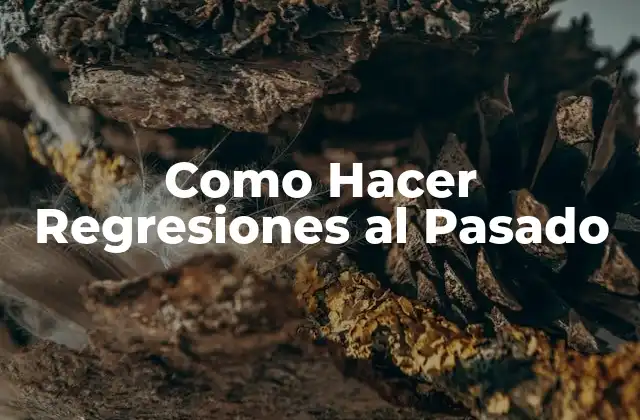 ¿Qué son las Regresiones al Pasado?