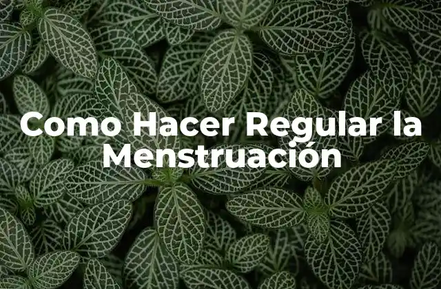 Como Hacer Regular la Menstruación