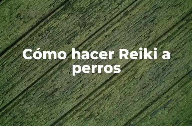 Cómo Hacer Reiki a Perros