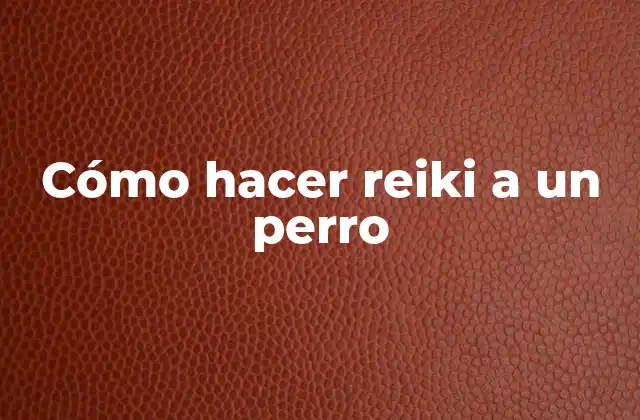 ¿Qué es el reiki para perros?