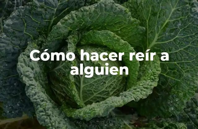 Cómo Hacer Reír a Alguien