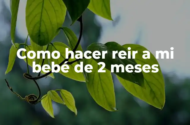 Como Hacer Reir a Mi Bebé de 2 Meses