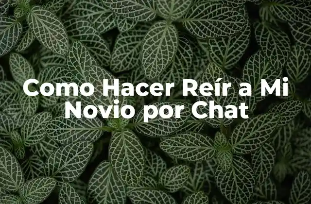 Como Hacer Reír a Mi Novio por Chat