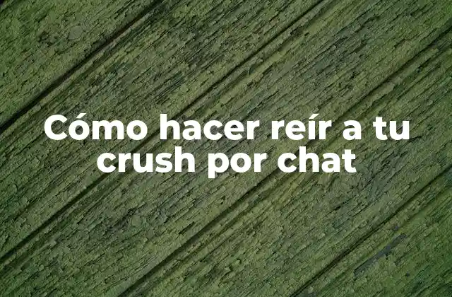 Cómo Hacer Reír a Tu Crush por Chat