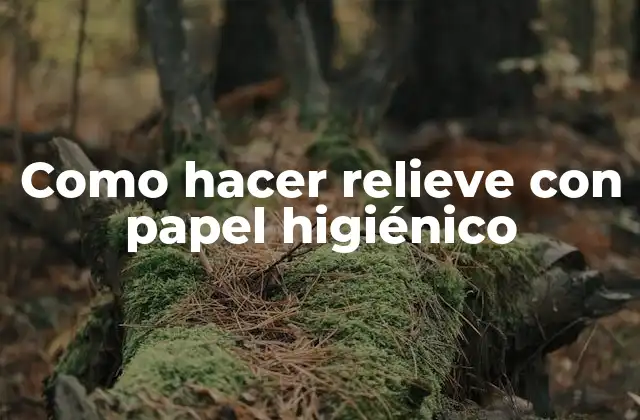 Como Hacer Relieve con Papel Higiénico