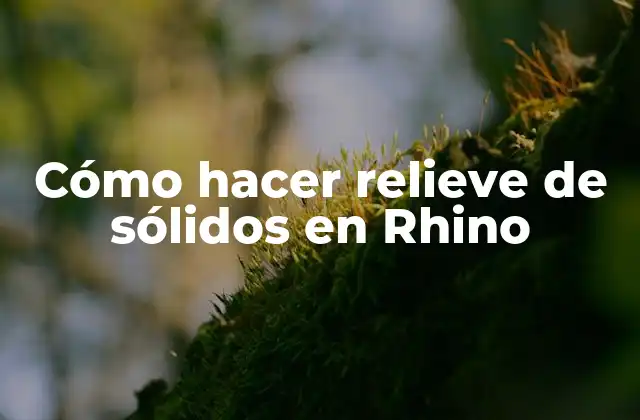 Cómo Hacer Relieve de Sólidos en Rhino