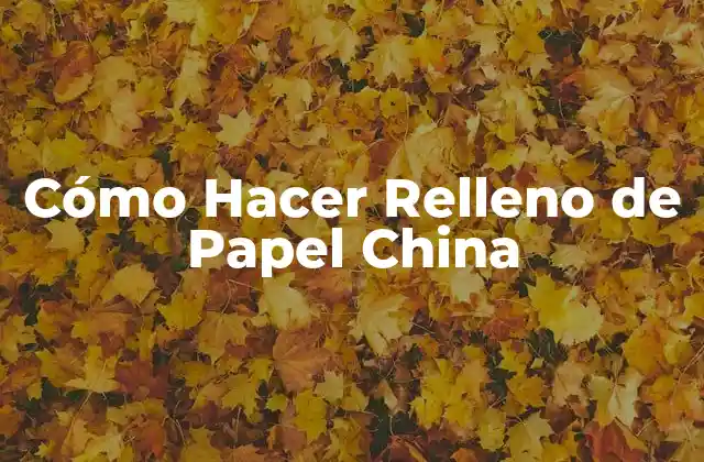 Cómo Hacer Relleno de Papel China 2 ¿Qué es el Relleno de Papel China y Para Qué Sirve?