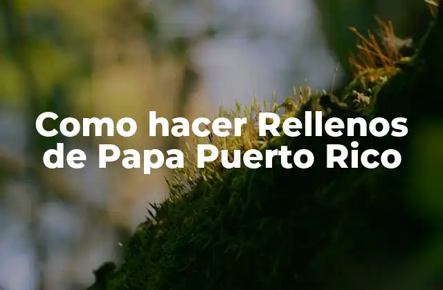 Como Hacer Rellenos de Papa Puerto Rico